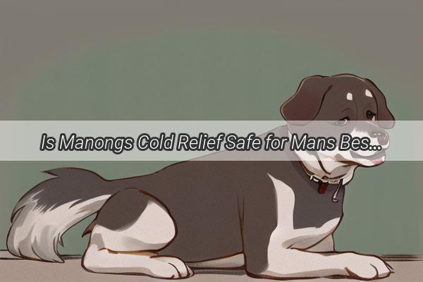 Is Manongs Cold Relief Safe for Mans Best Friend A Comprehensive Guide